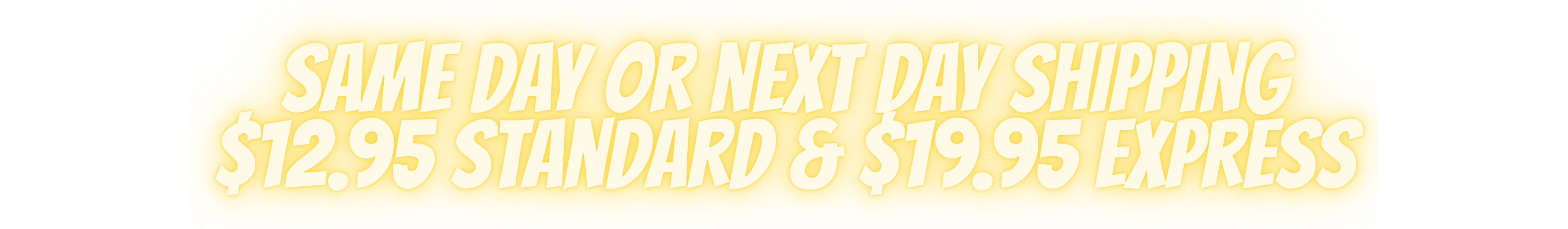 Text indicating shipping options with prices on a white background