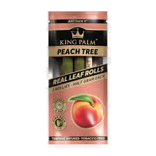 KING PALM Peach Tree Rollie - 2pk
