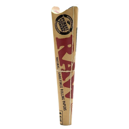 raw cones on a transparent background